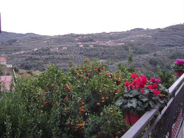B&B Ca' De Pippu Diano Castello Exterior photo